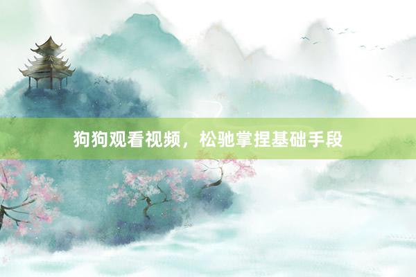狗狗观看视频，松驰掌捏基础手段